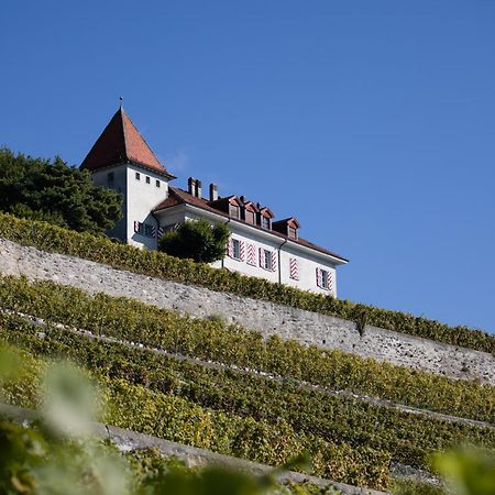 Domaine Du Burignon Hotel Saint-Saphorin ภายนอก รูปภาพ