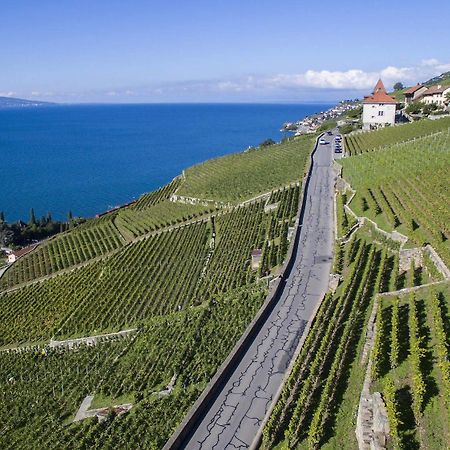 Domaine Du Burignon Hotel Saint-Saphorin ภายนอก รูปภาพ