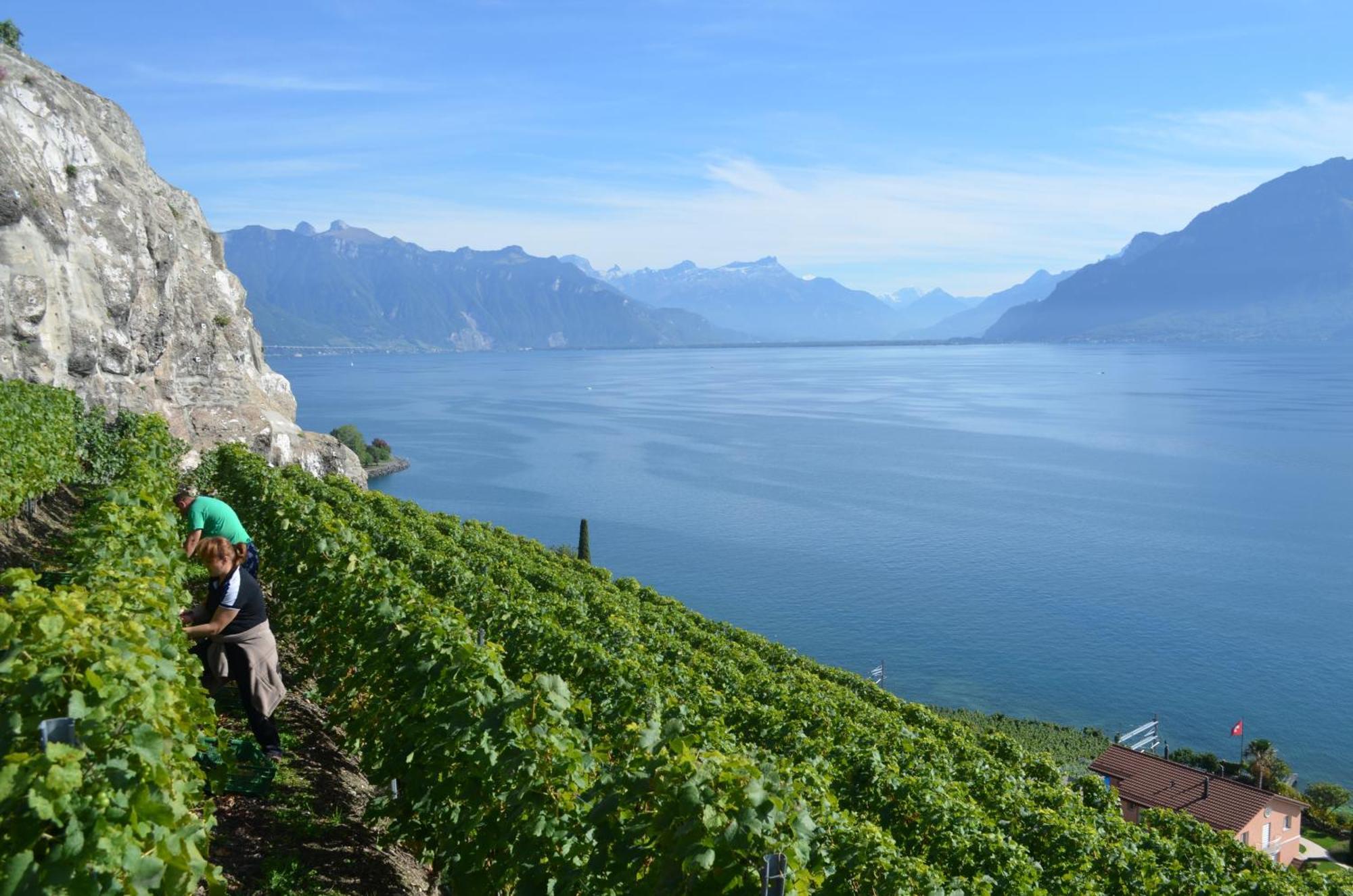 Domaine Du Burignon Hotel Saint-Saphorin ภายนอก รูปภาพ