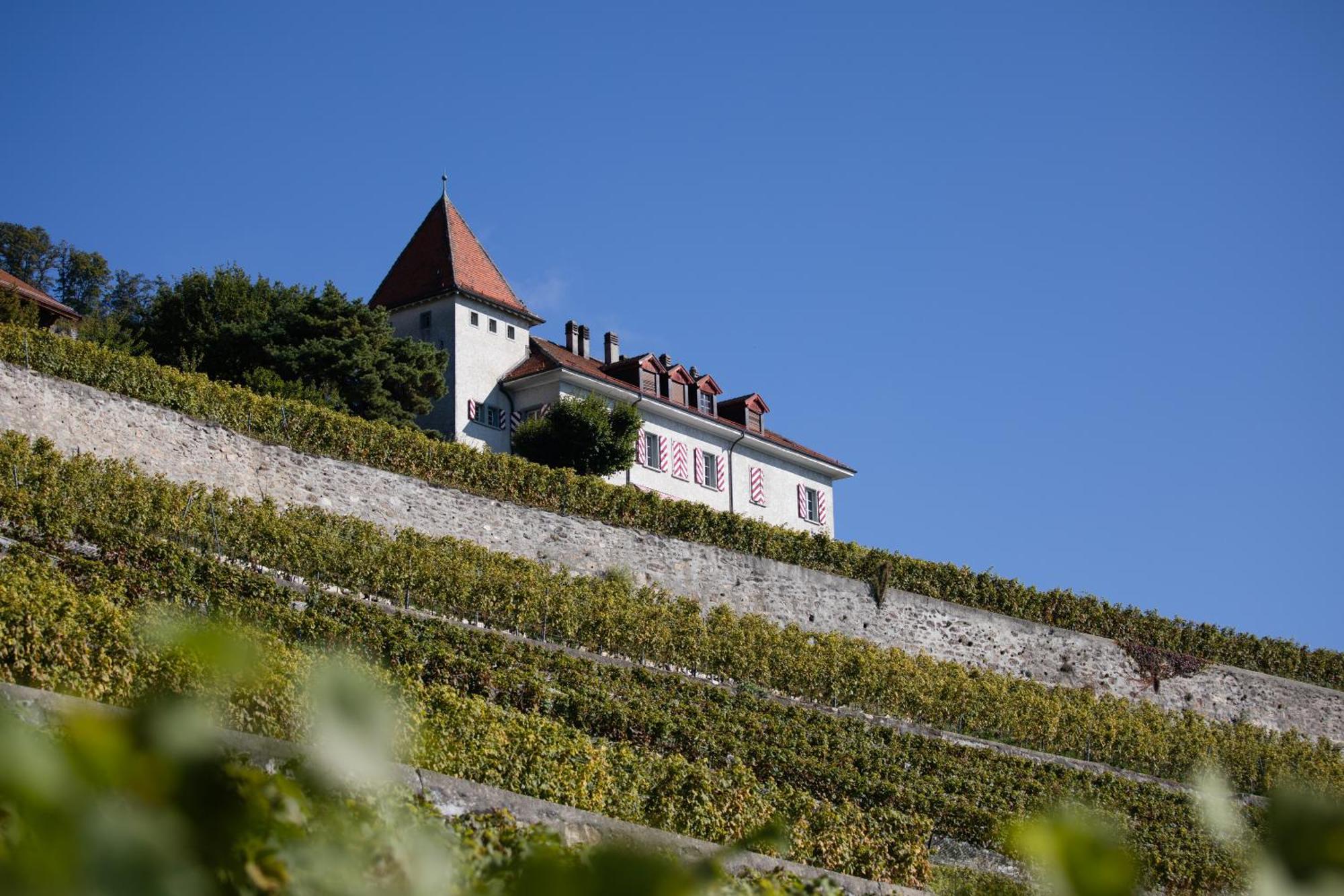 Domaine Du Burignon Hotel Saint-Saphorin ภายนอก รูปภาพ