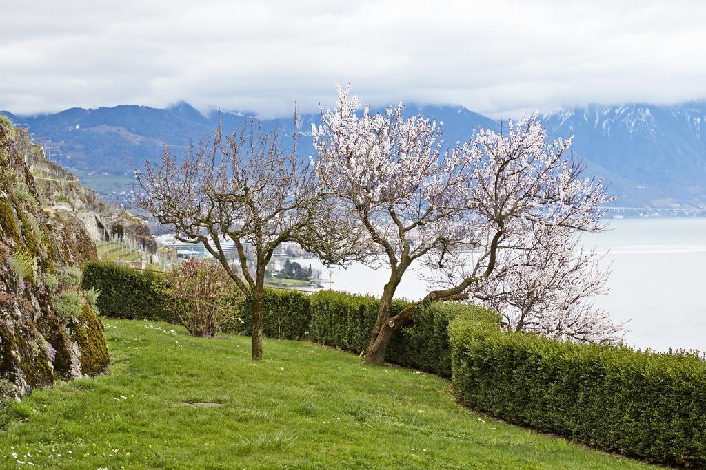 Domaine Du Burignon Hotel Saint-Saphorin ภายนอก รูปภาพ