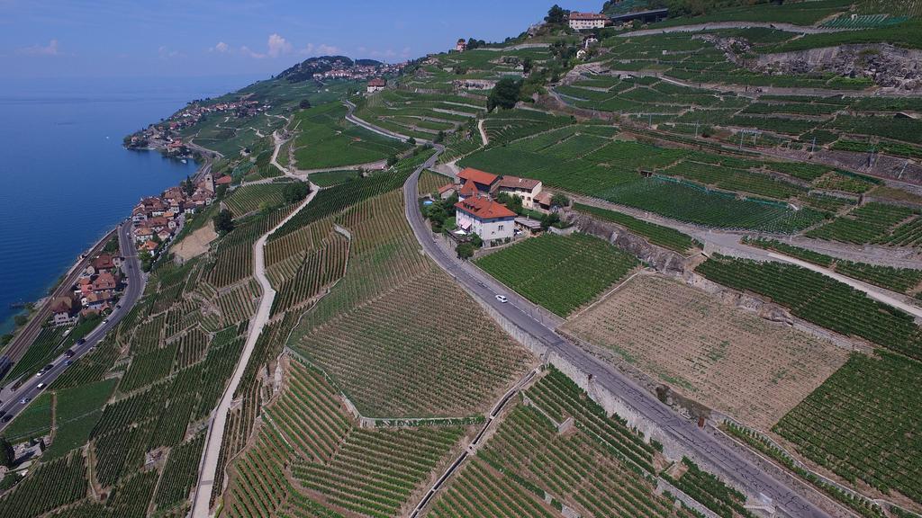 Domaine Du Burignon Hotel Saint-Saphorin ภายนอก รูปภาพ