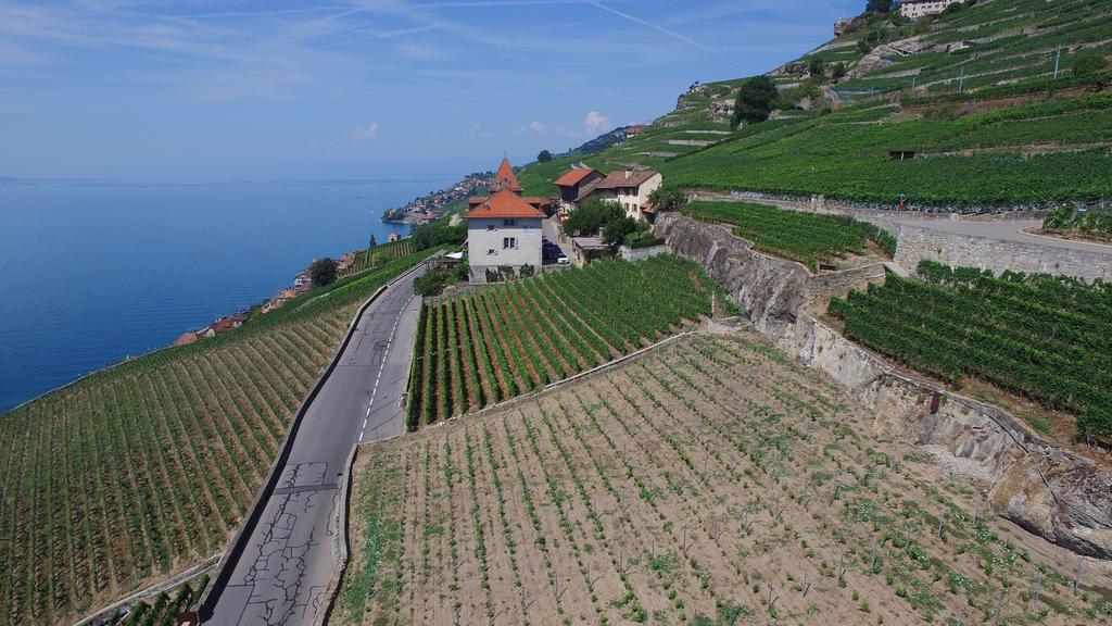 Domaine Du Burignon Hotel Saint-Saphorin ภายนอก รูปภาพ