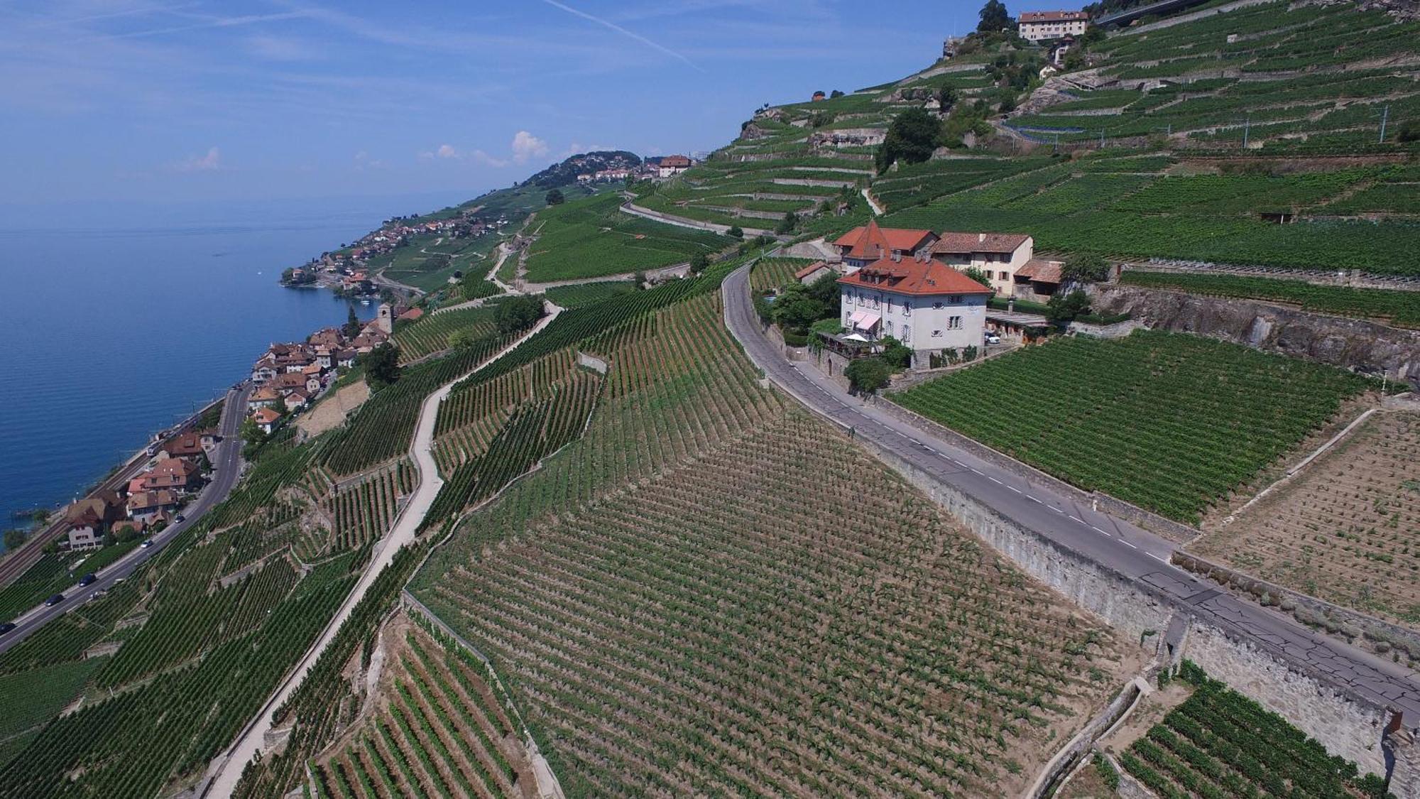 Domaine Du Burignon Hotel Saint-Saphorin ภายนอก รูปภาพ